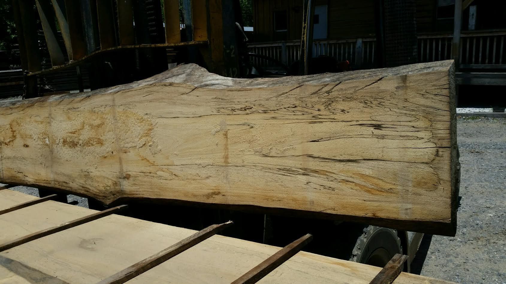 Large, freshly-sawn wooden beam on a rack, outdoors.