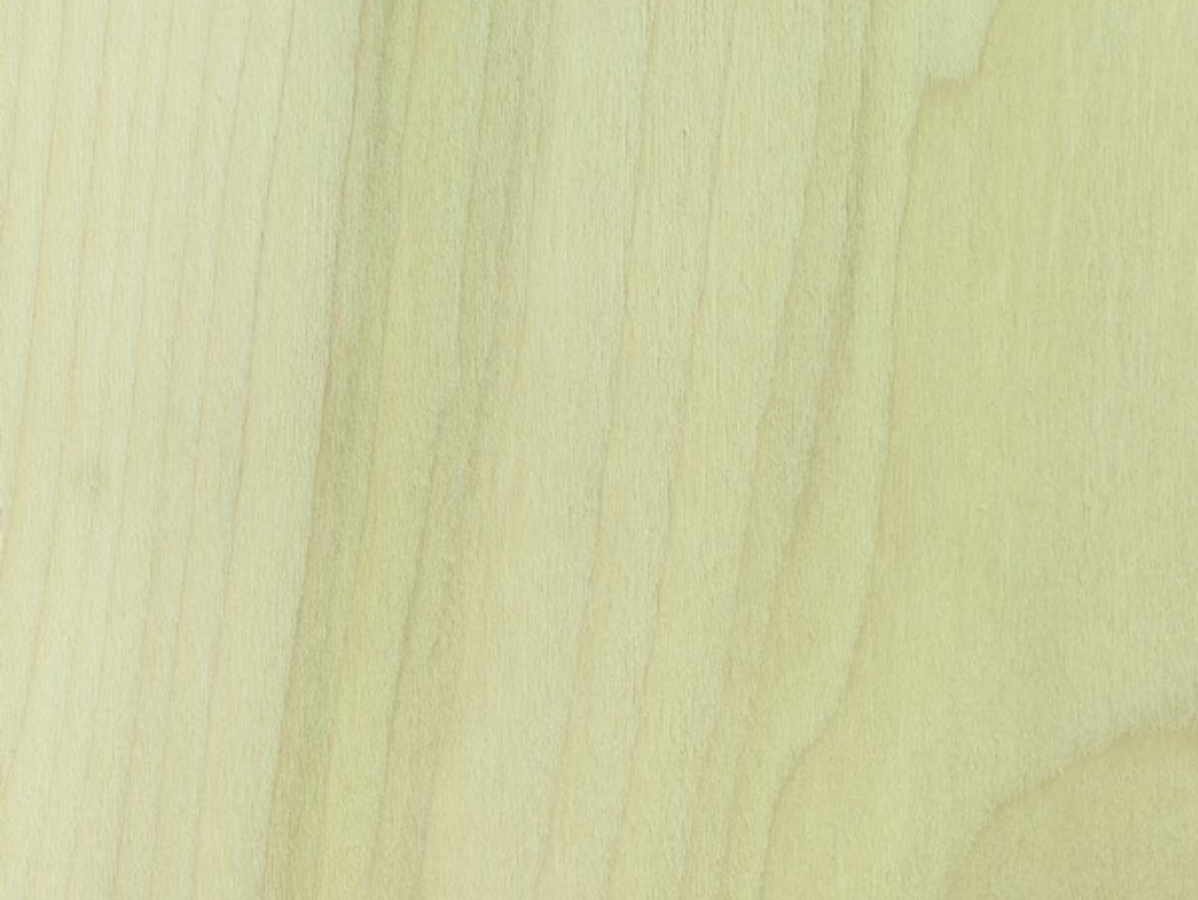 Close-up of light-colored wood grain with vertical lines and subtle variations in tone.