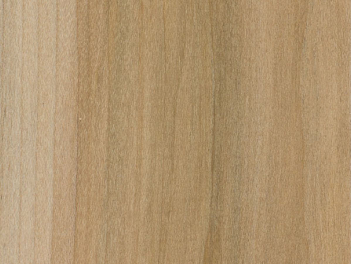 Close-up of light-colored wood grain with vertical lines and a natural, even tone.