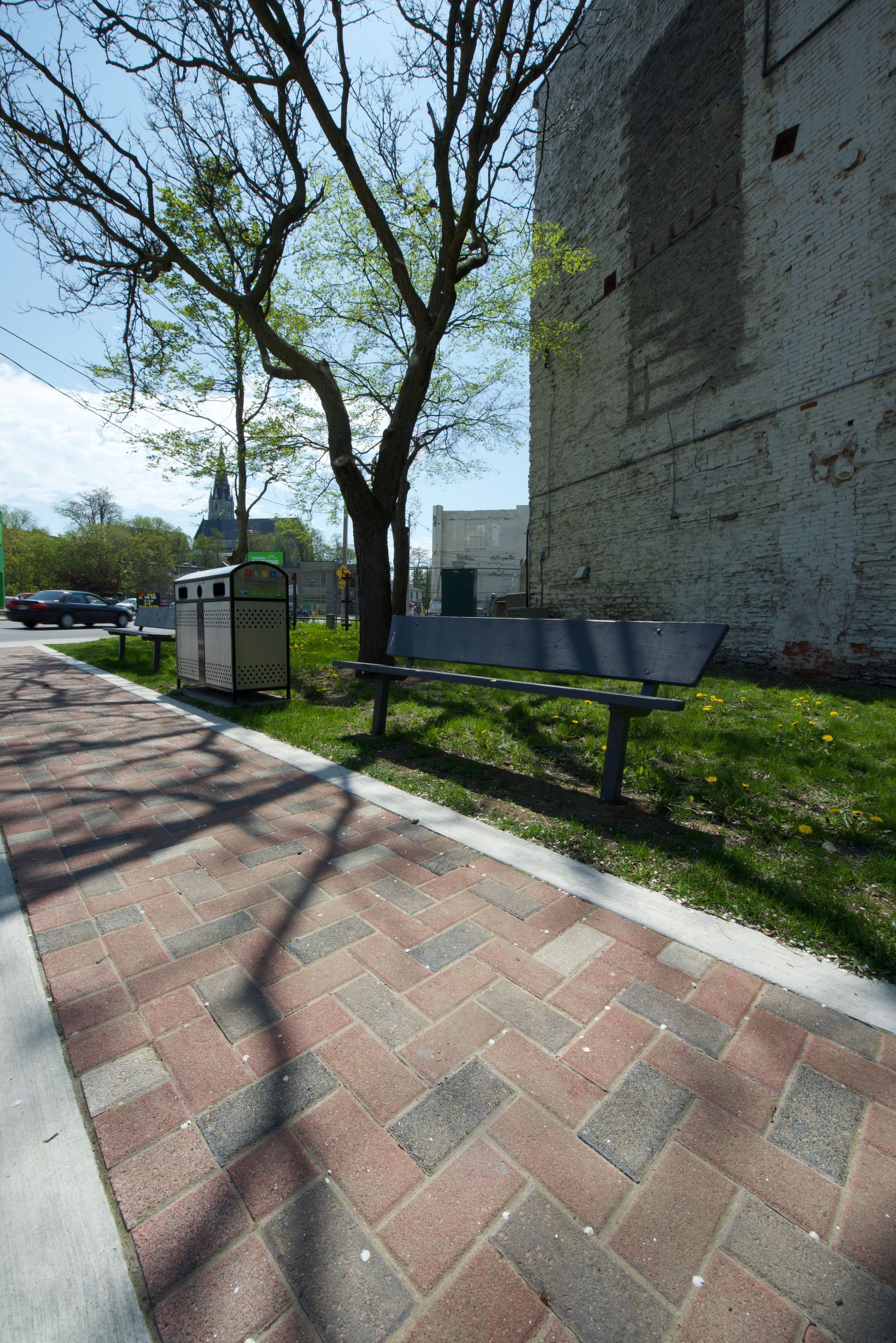 A brick sidewalk with a tree in the background