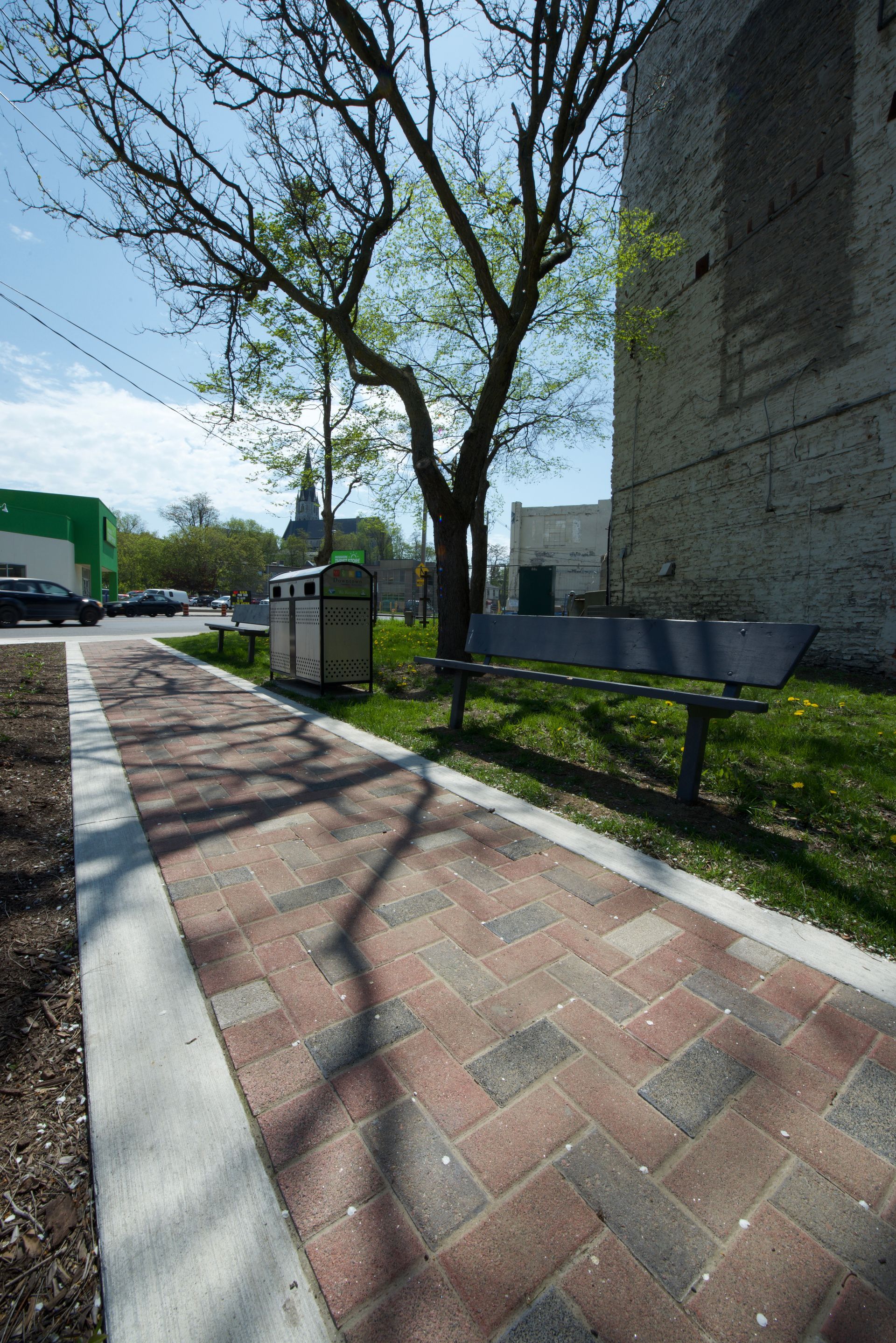 A brick walkway with a tree and a trash can on the side