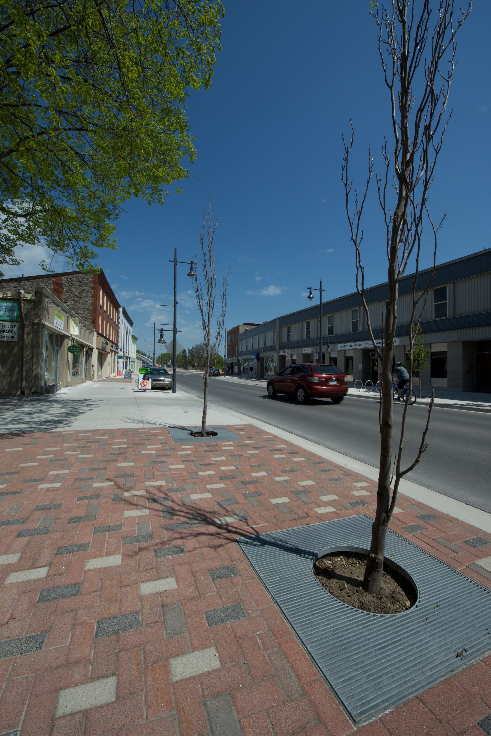A red car is driving down a city street next to a tree.