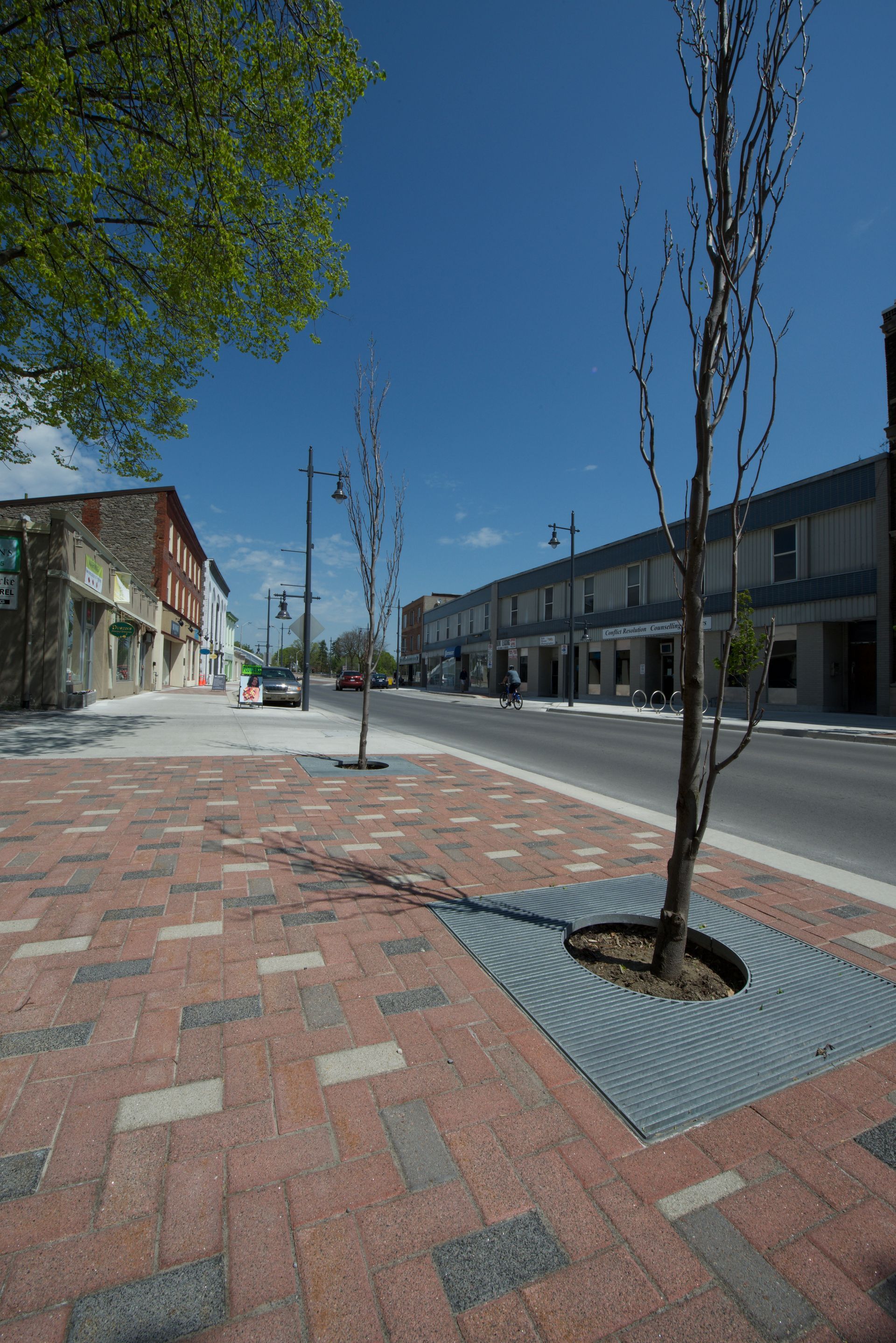 A tree is growing in the middle of a brick sidewalk.