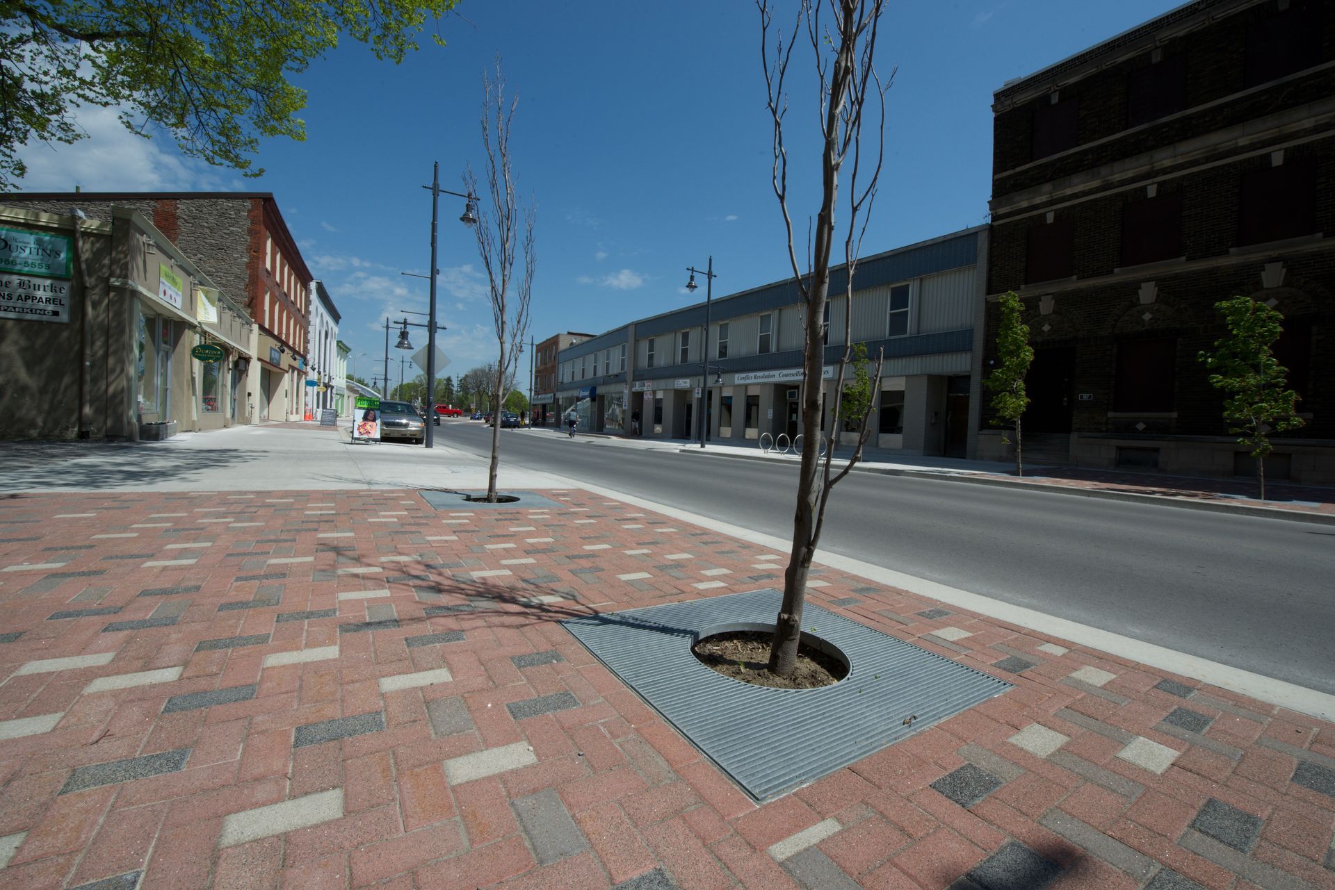 A brick sidewalk with a tree in the middle of it