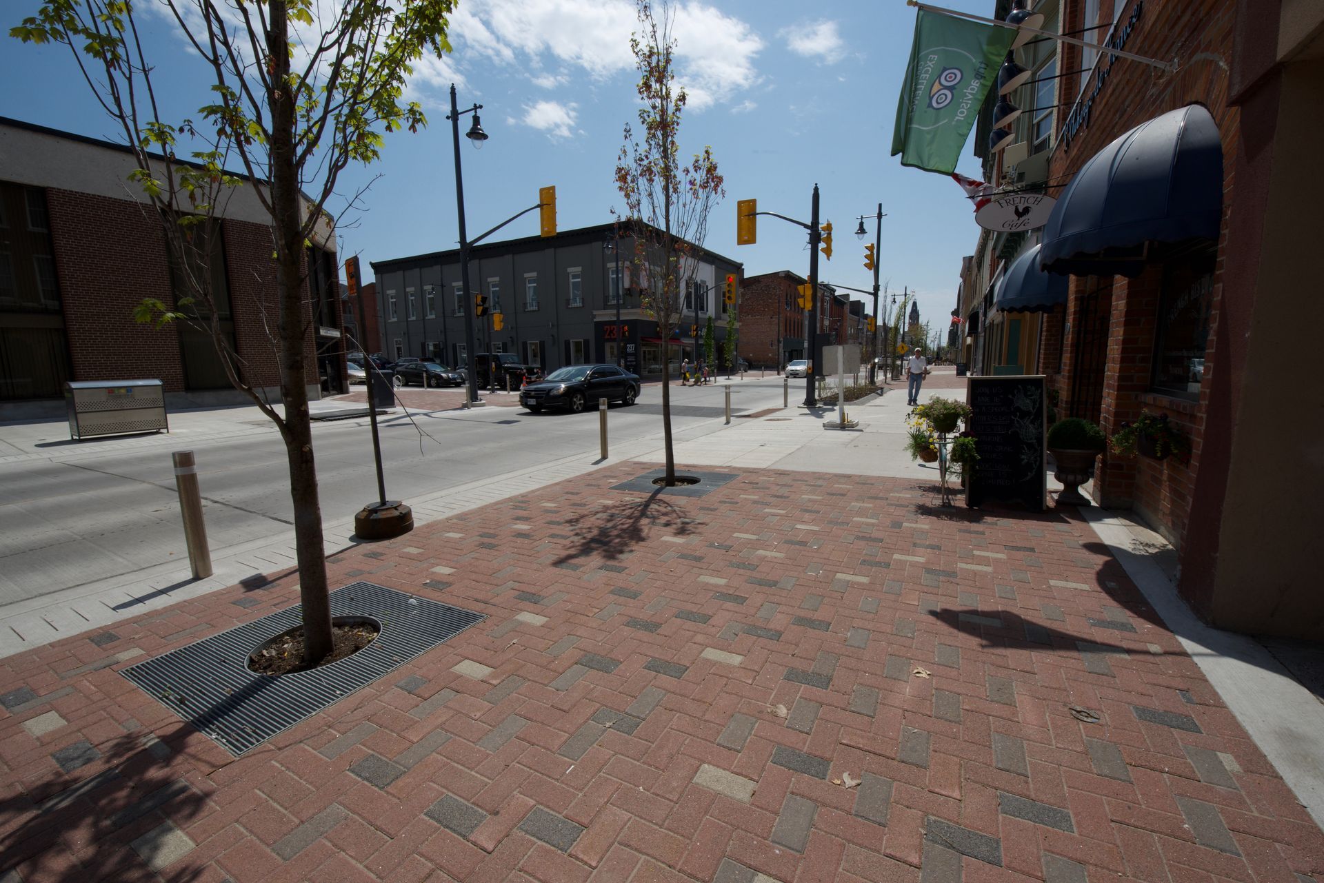 A brick sidewalk with a tree in the middle of it