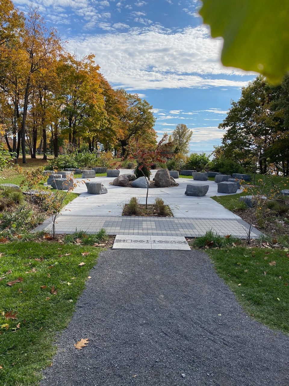 A path in a park surrounded by trees and grass on a sunny day.