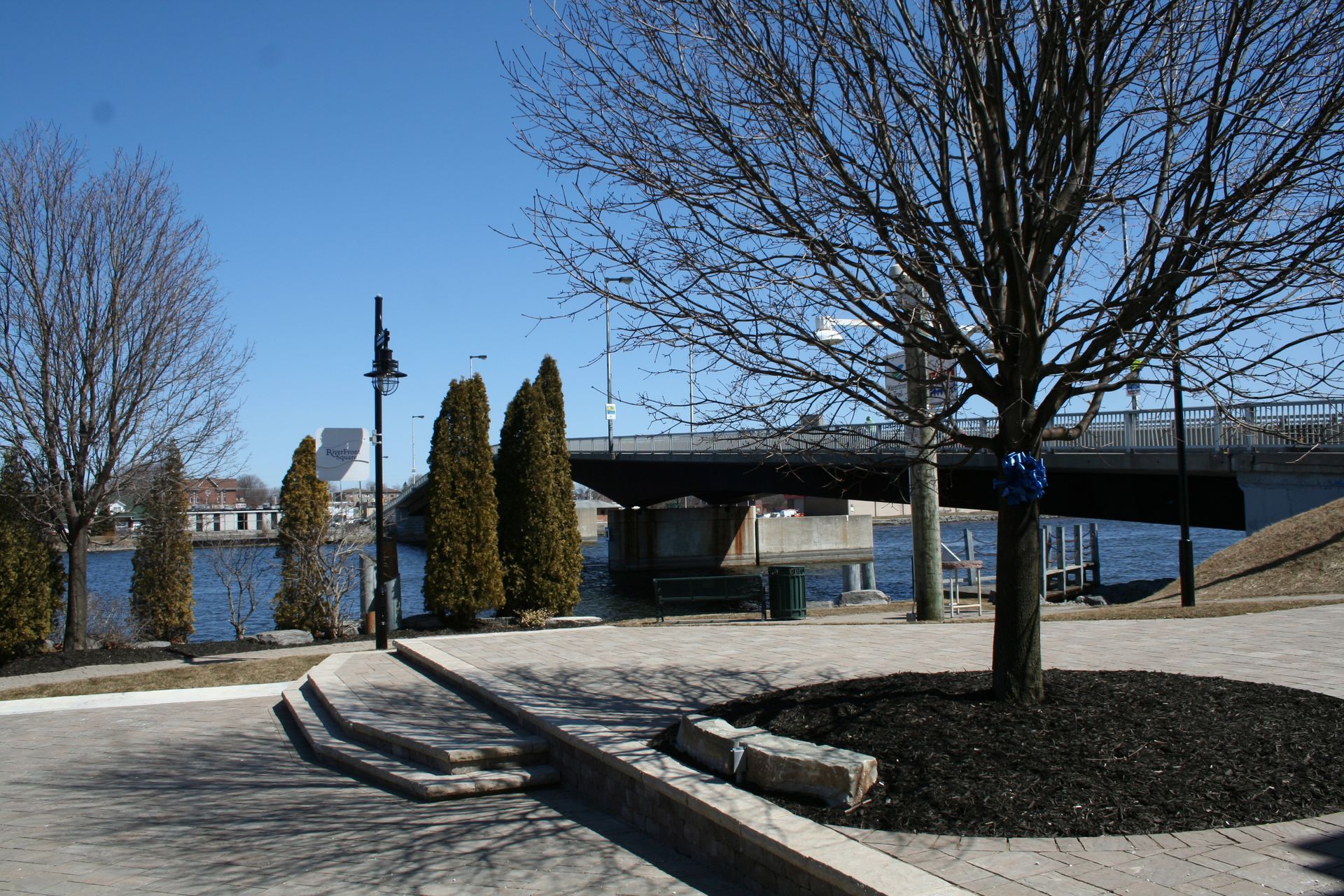 A tree in a park with a bridge in the background