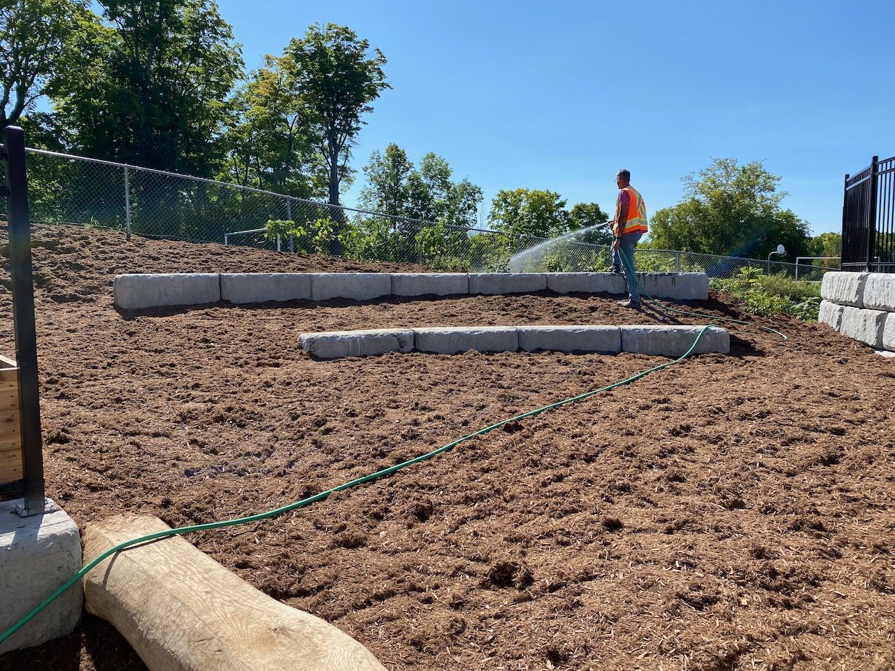 A man is watering a garden with a hose.