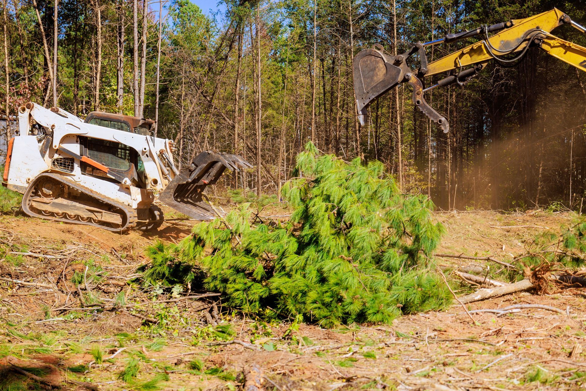 A bulldozer is cutting down trees in a forest.