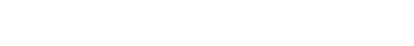 Timothy A. Dachille and Associates