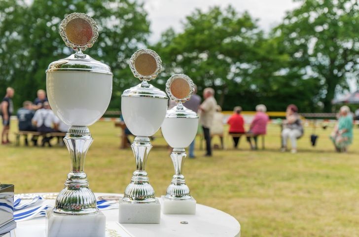 Three trophies are sitting on a table in a field.