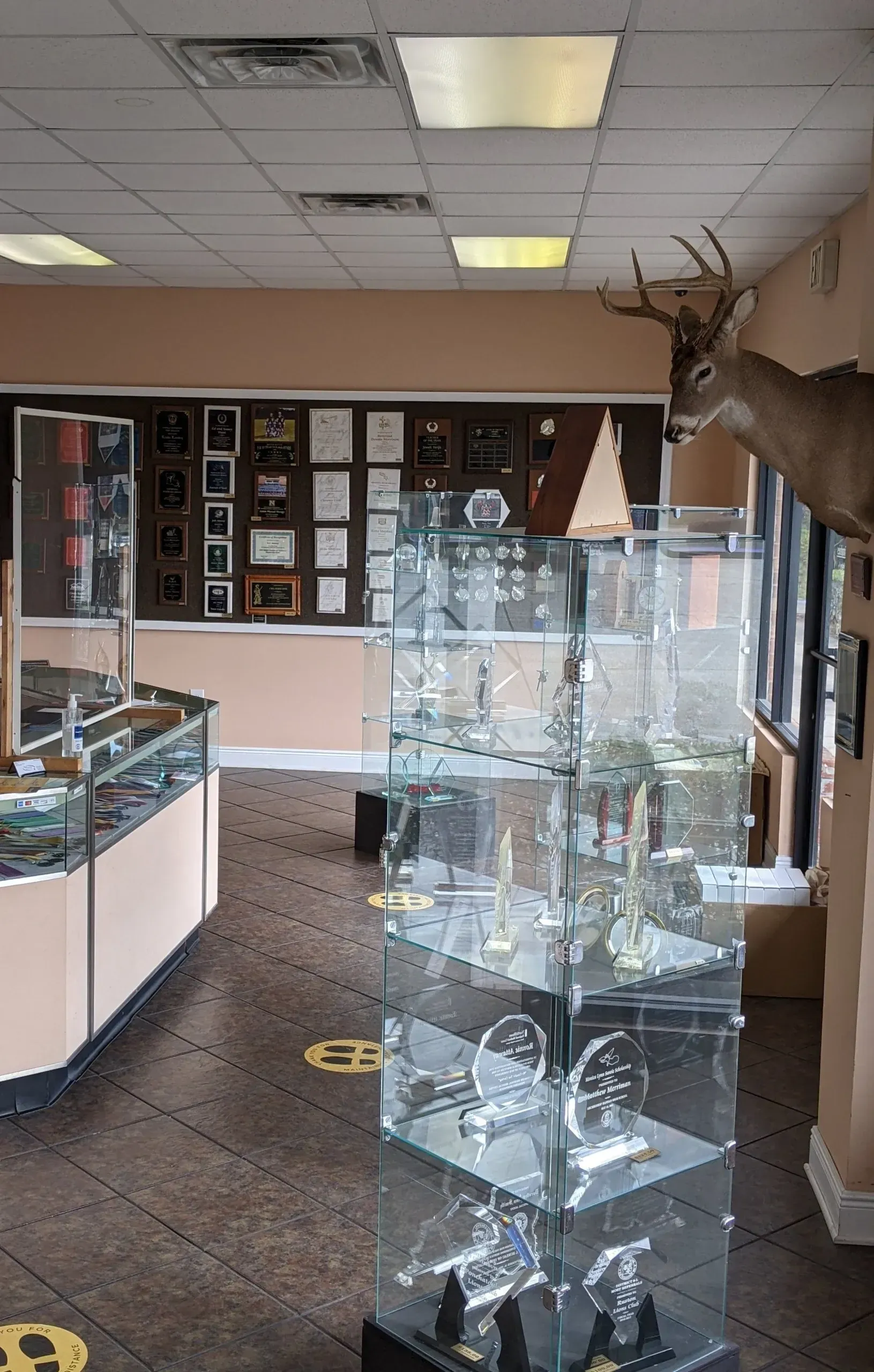 There is a deer hanging on the wall in the middle of the room.