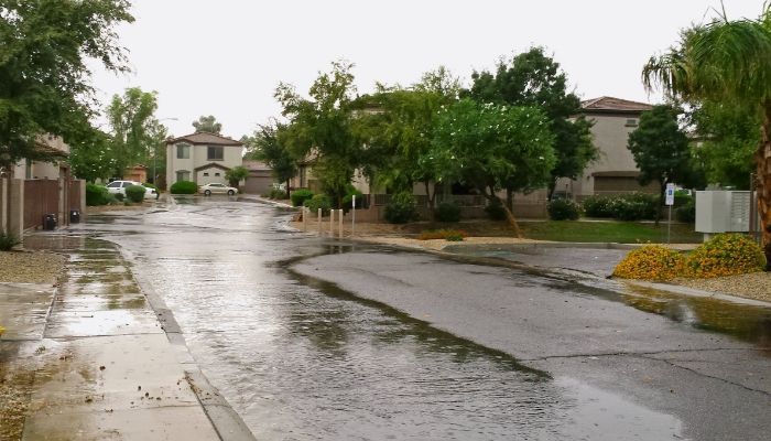 A street in a residential area with rain on the ground