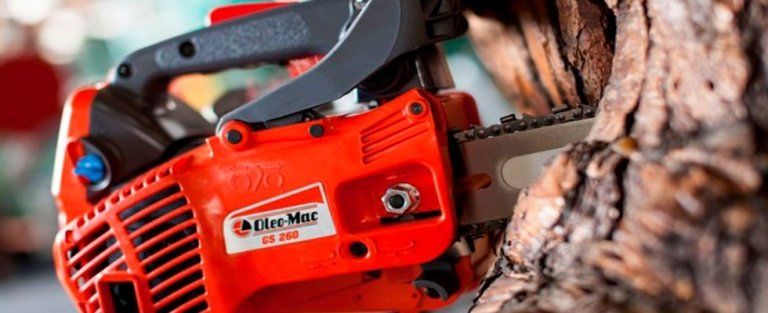 motosega Oleo Mac per il giardinaggio a Reggio Calabria
