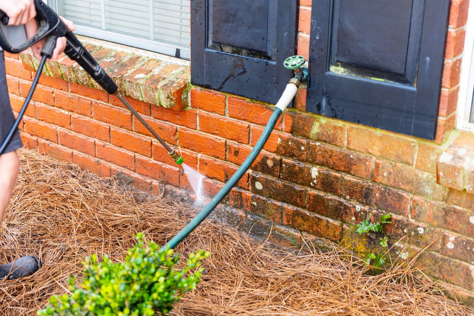 Person pressure washing a brick house near a garden and shutters; using a green hose.
