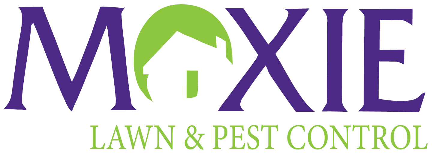 Pest Removal Services Pocatello, ID Moxie Lawn & Pest Control