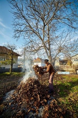 Person raking leaves into a pile, creating smoke under a bare tree in a yard.