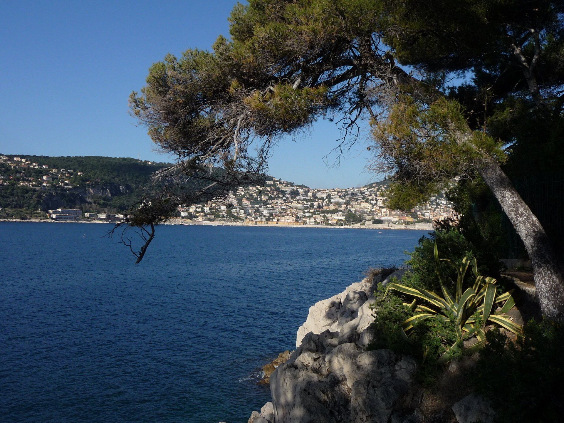 A Mediterranean scene of deep blue sea and green trees on Cap Ferrat, in the South of France