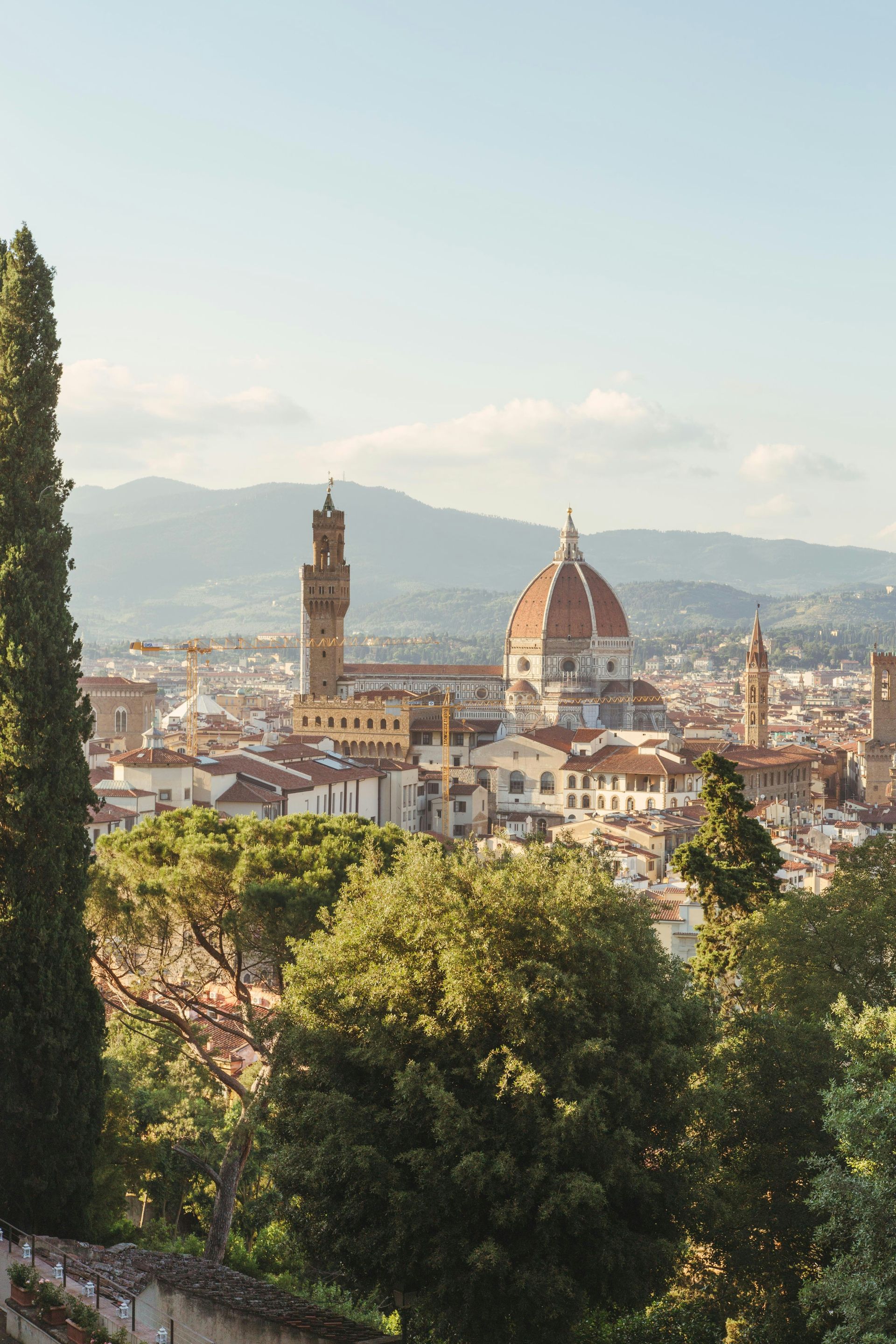 Florence's skyline, including a wide view between trees of the Duomo