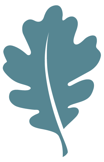 Leaf icon