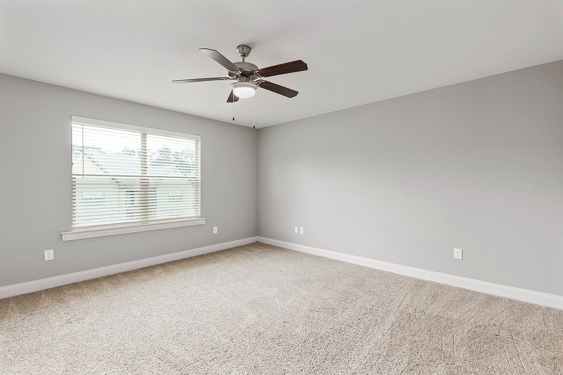 Empty apartment living room with gray walls, beige carpet, window, and ceiling fan.