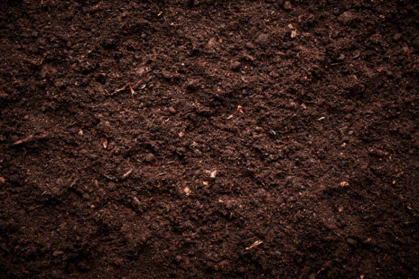 A Close up Of a Pile of Brown Soil — Barry's Recycling in Redland Bay, QLD