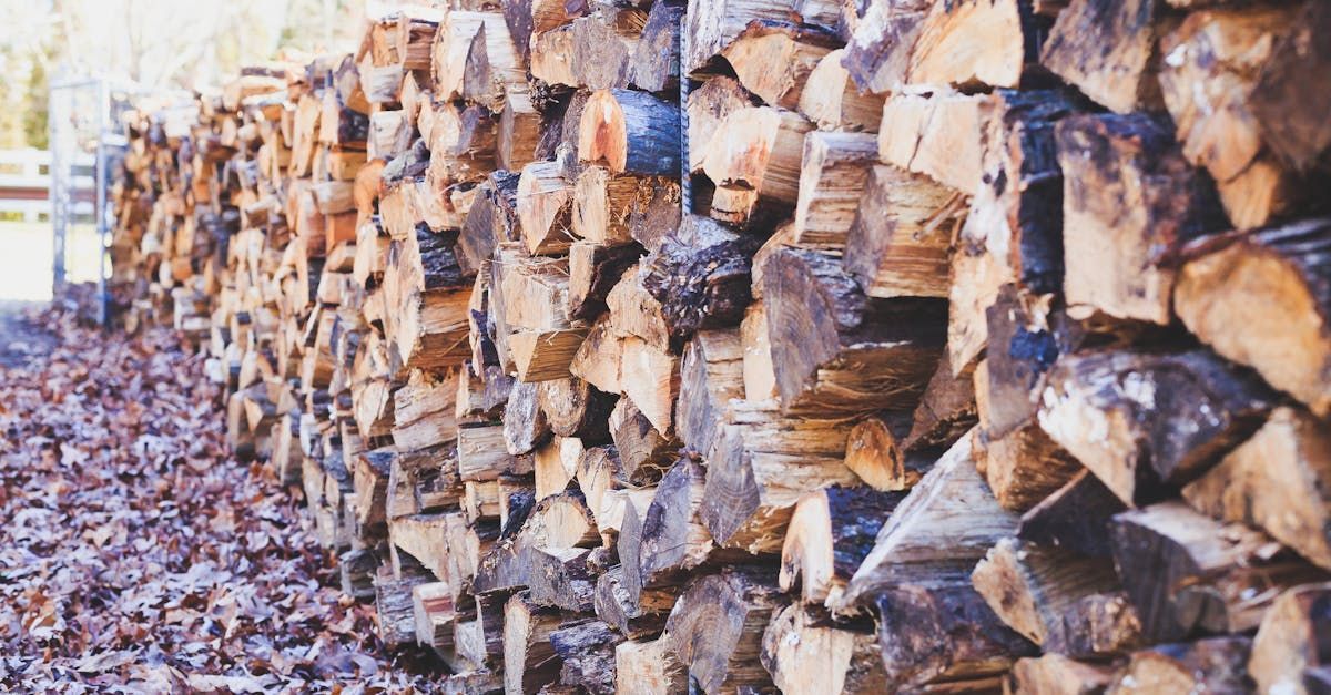 A Pile of Logs Stacked on Top of Each Other — Barry's Recycling in Redland Bay, QLD