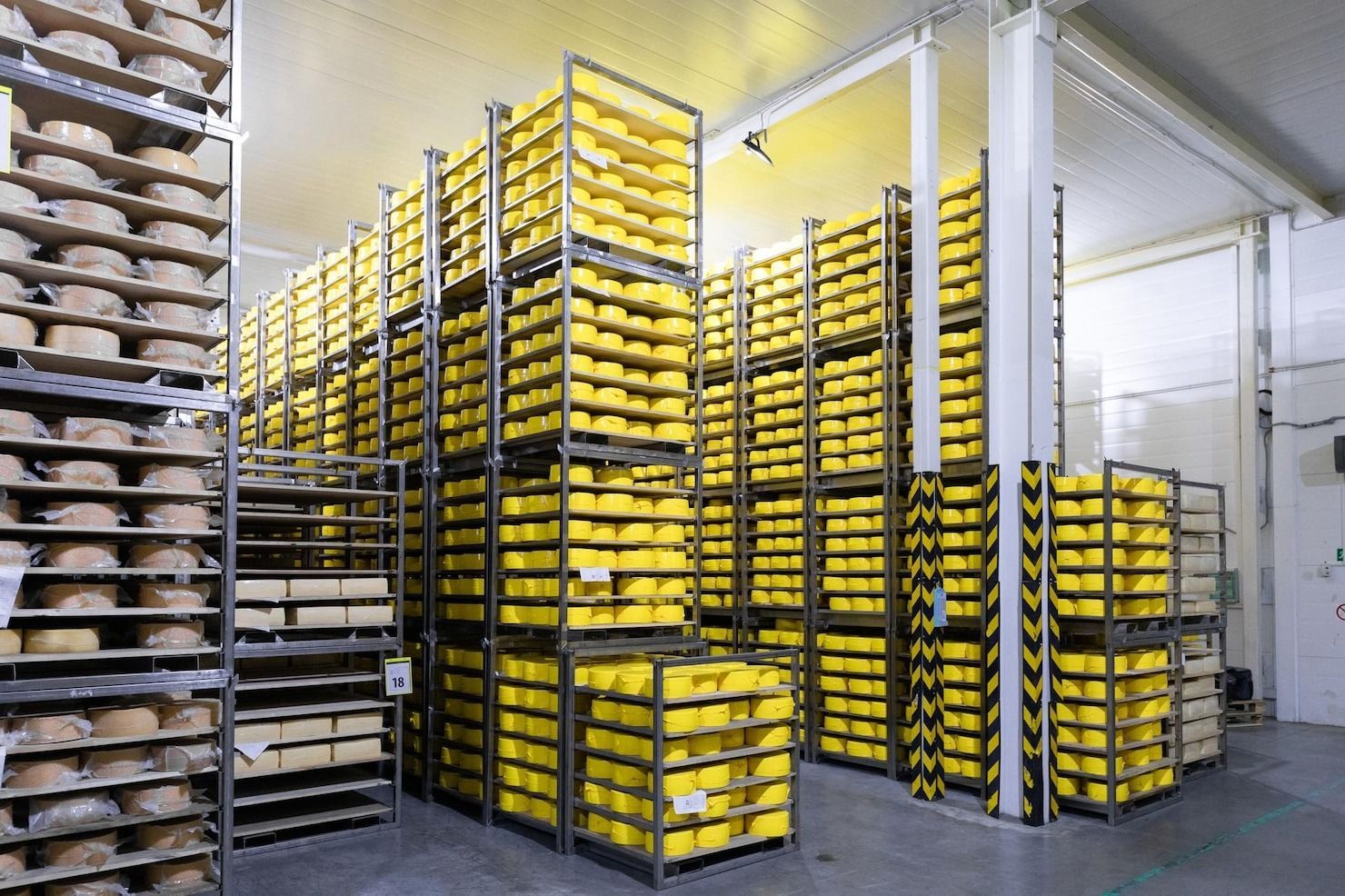 Cheese wheels stacked on shelving units inside a large, refrigerated warehouse.