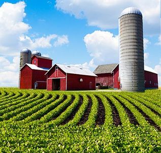 Farm scene with red barns and silos on a green field with rows of crops, under a blue sky with clouds.