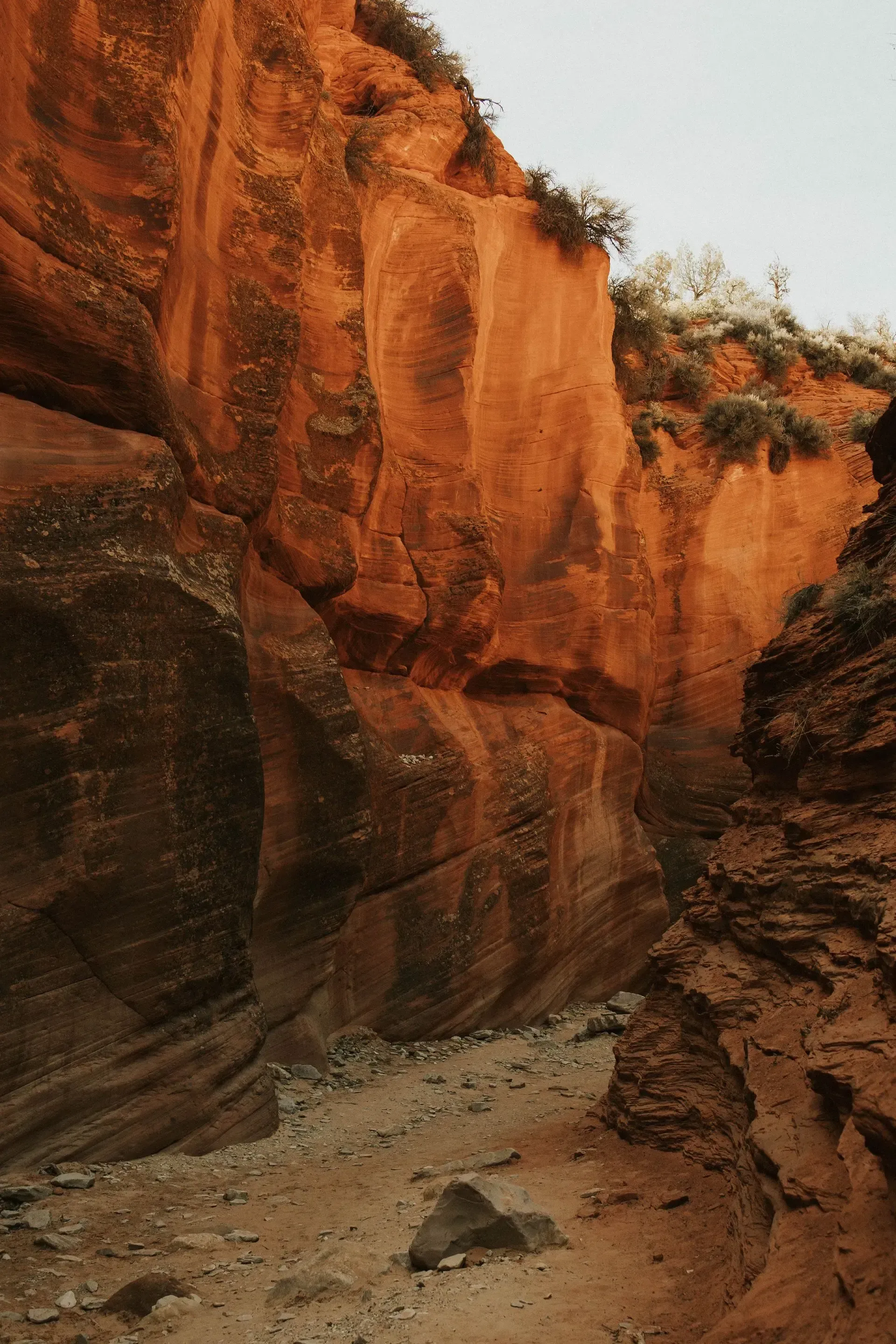 Narrow sandy canyon with tall orange-red rock walls and sparse shrubs above