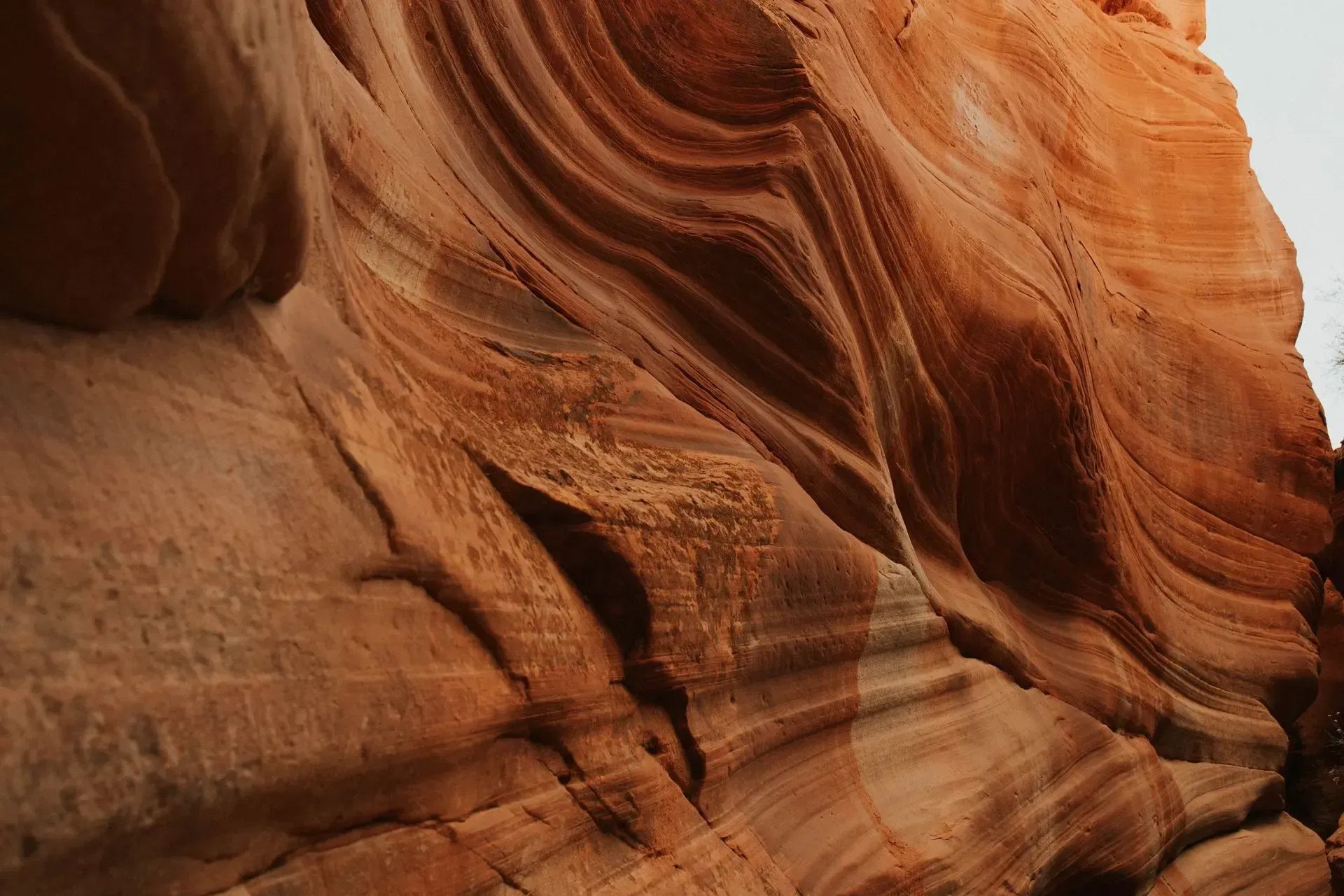 Layered red sandstone canyon wall with sweeping curved striations in warm orange light