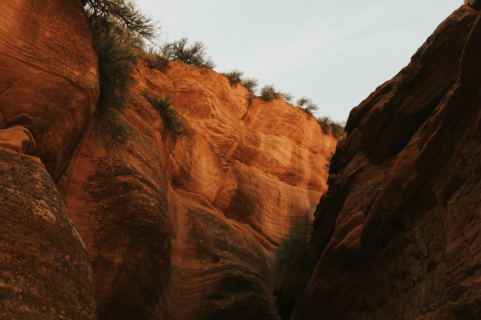 A narrow canyon with trees on the side of it