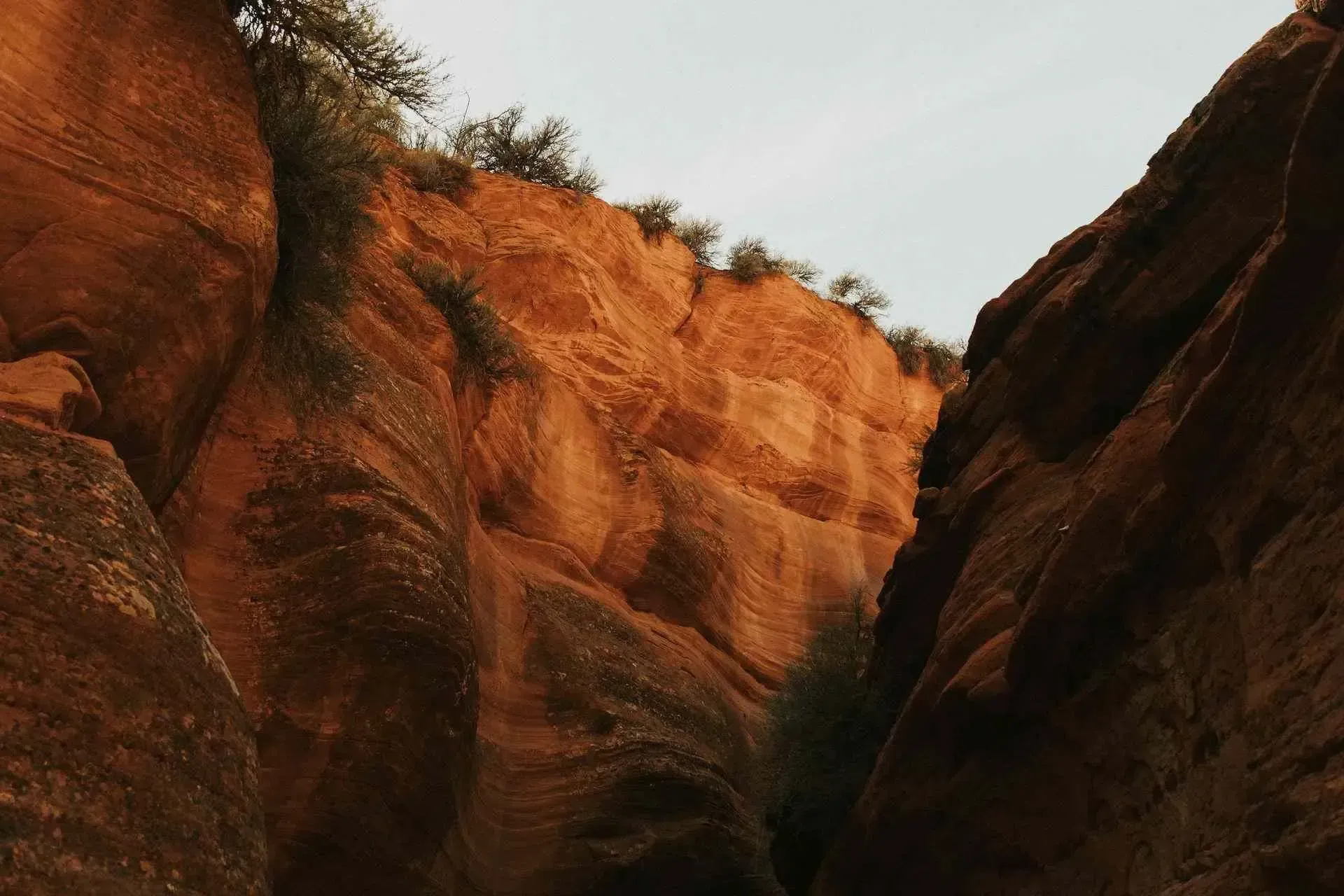 Red sandstone canyon walls rise against a pale sky, with a narrow shadowed ravine below.