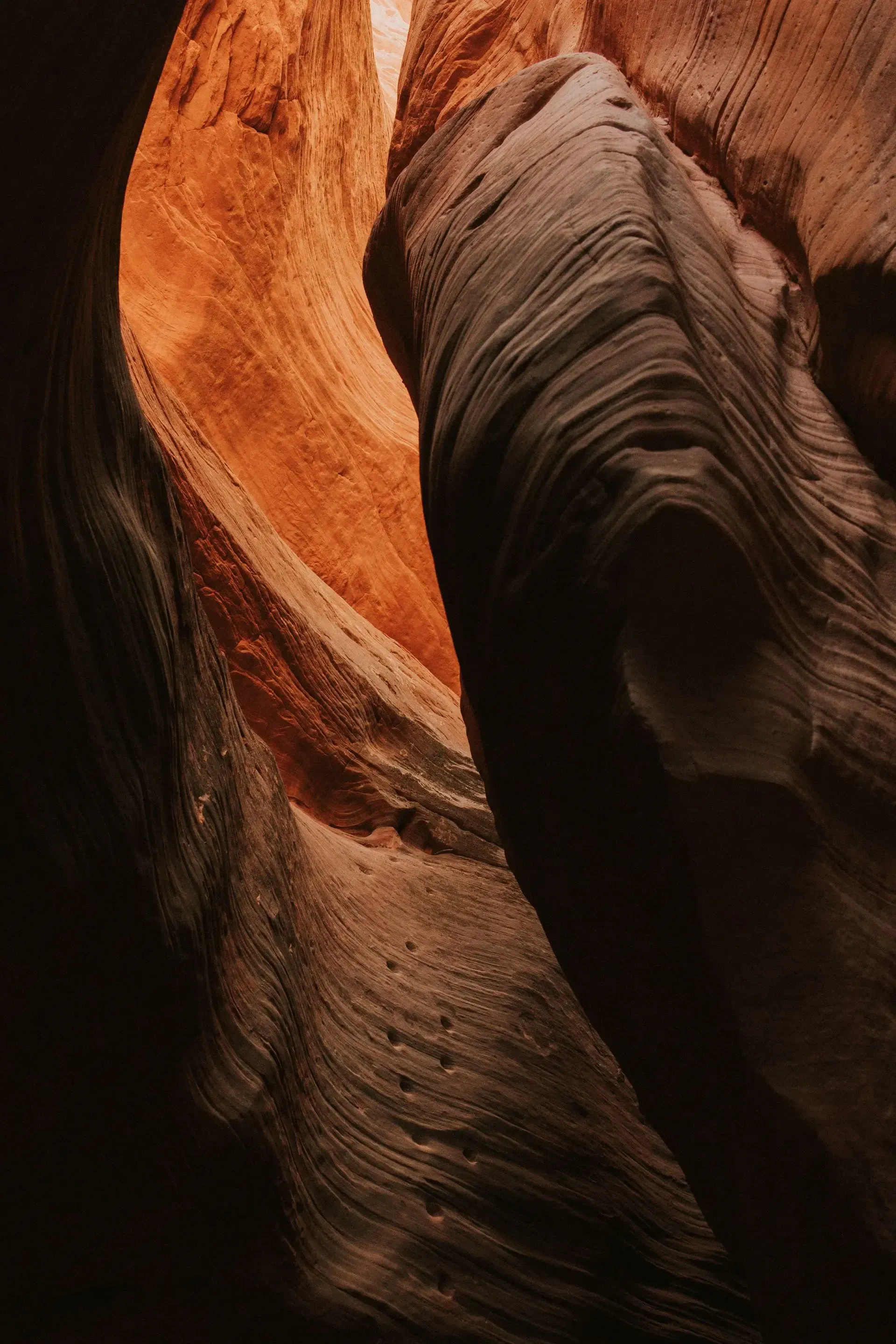 Curving sandstone canyon walls lit in warm orange and deep shadow
