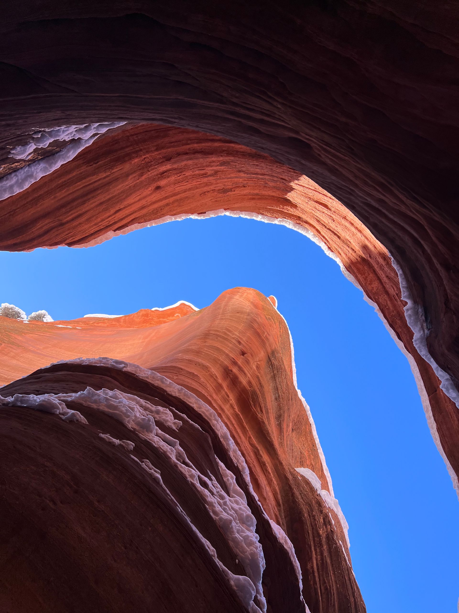 Looking up into a canyon with a blue sky in the background
