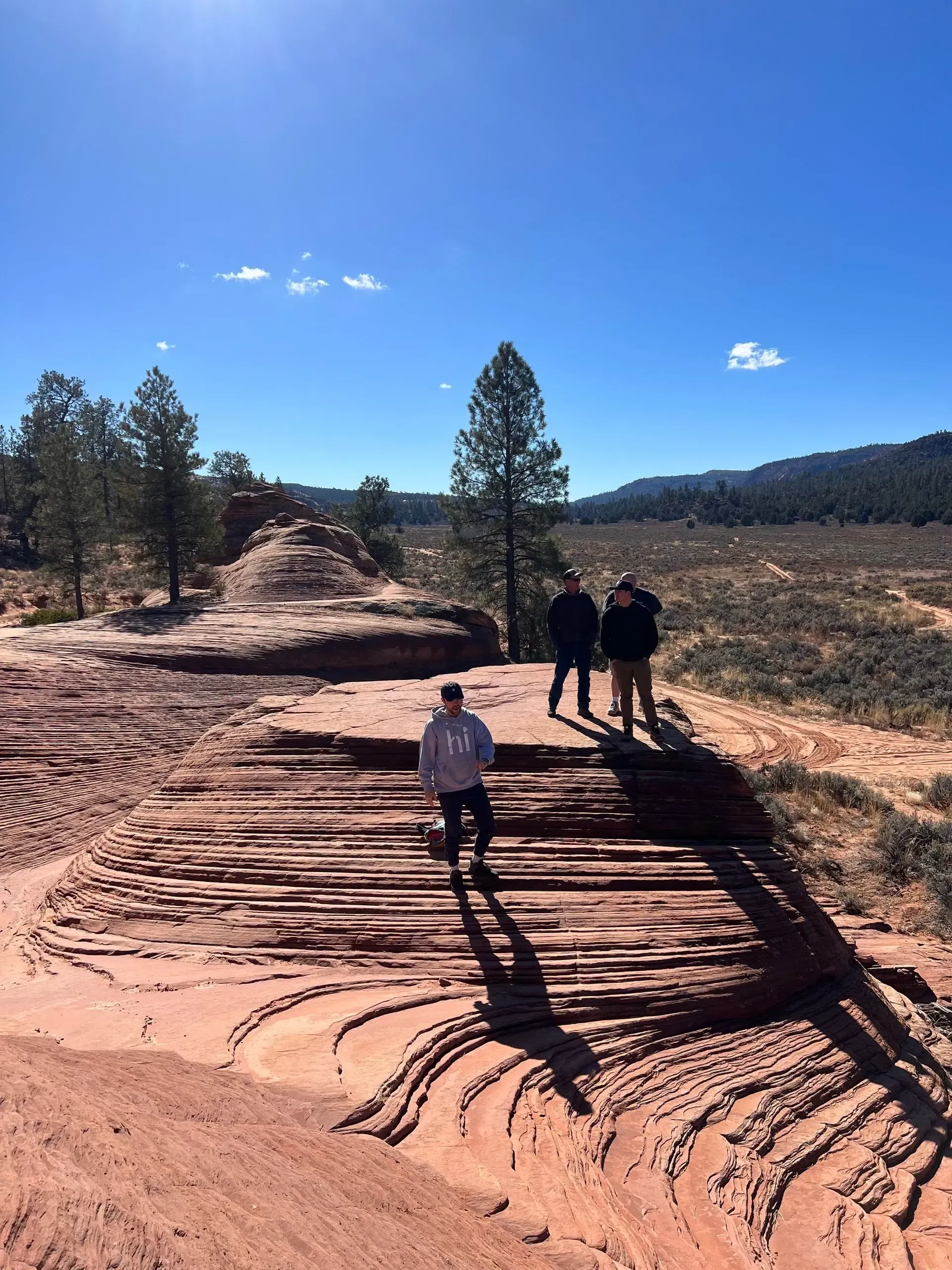 People hiking on a red dirt trail in a sunny pine forest under a clear blue sky.