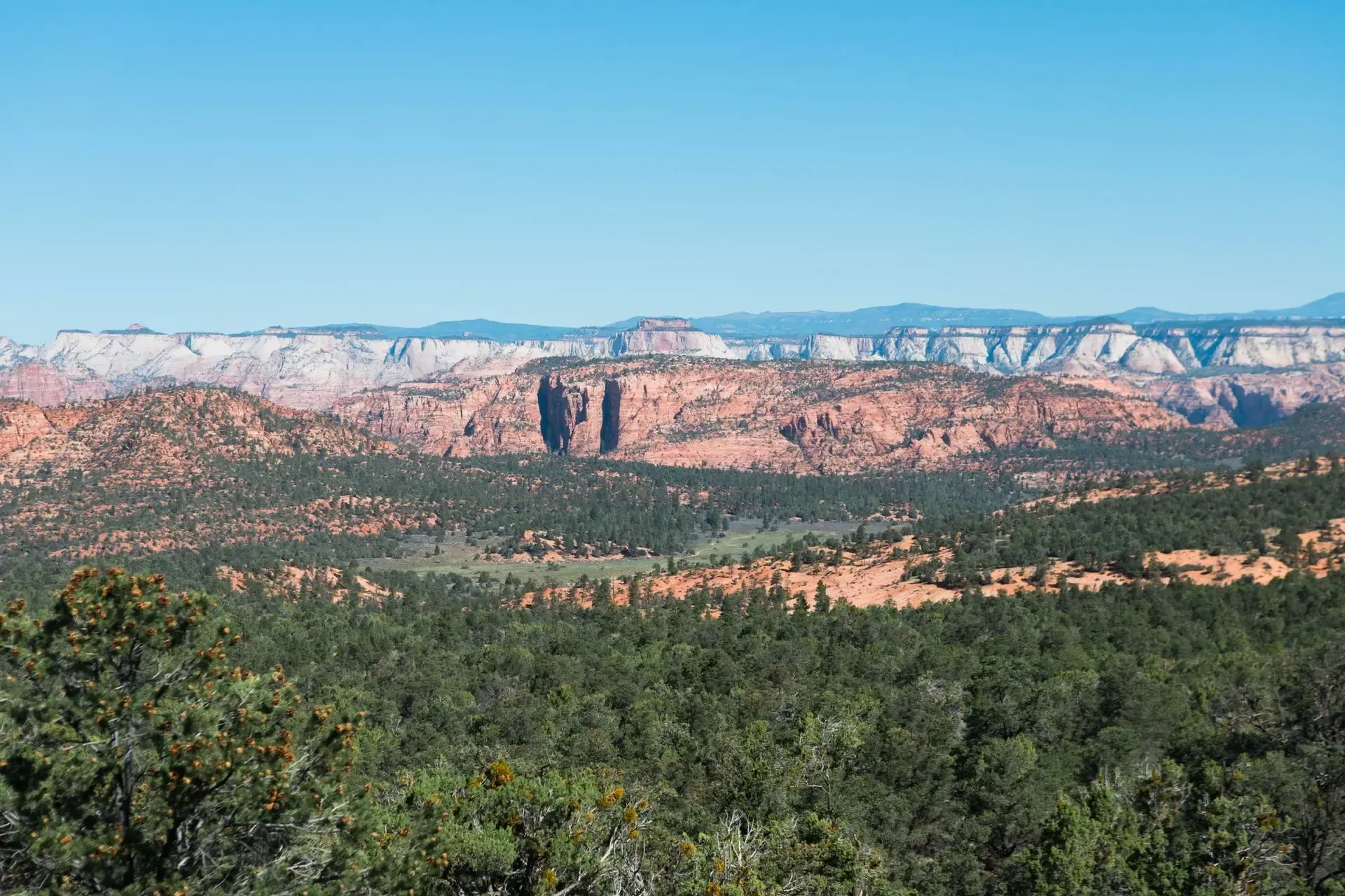 Desert canyon landscape with red cliffs, green trees, and a clear blue sky