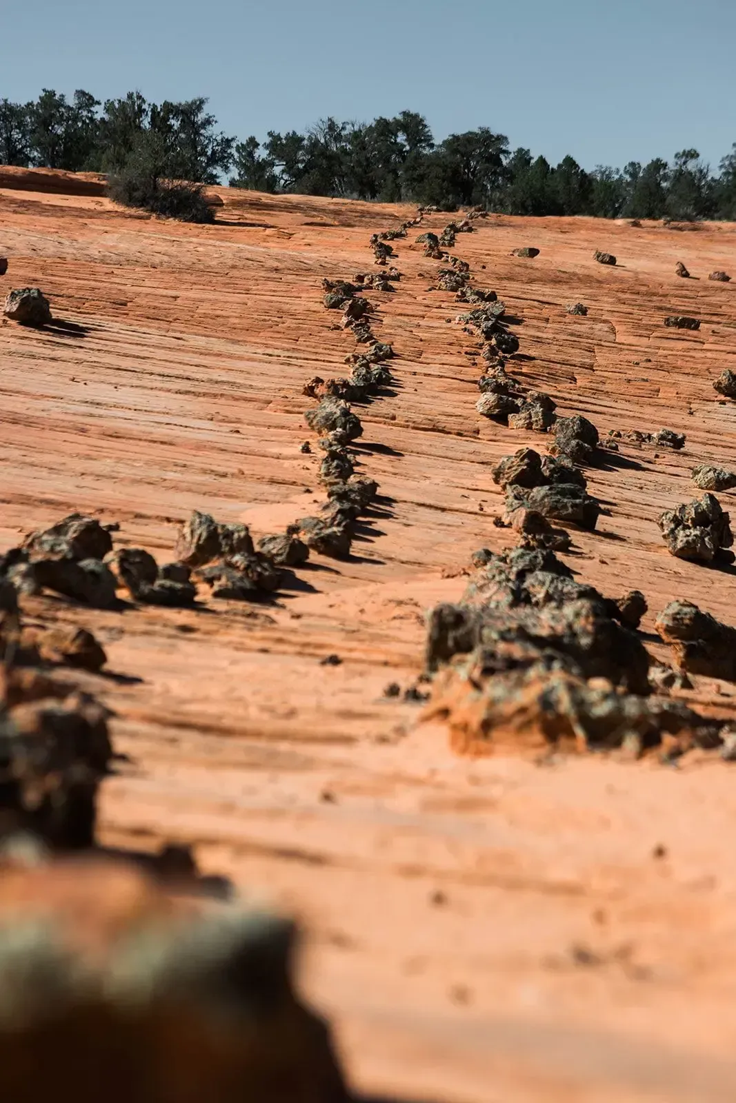 Dirt road with deep tire ruts and rocks across a dry, orange hillside under a blue sky