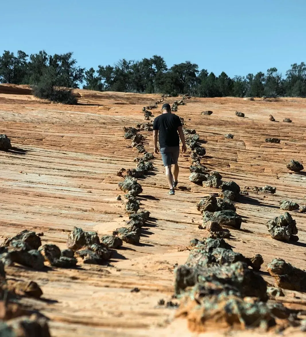 A person walking up a rocky, sunlit dirt slope with trees along the horizon under a blue sky
