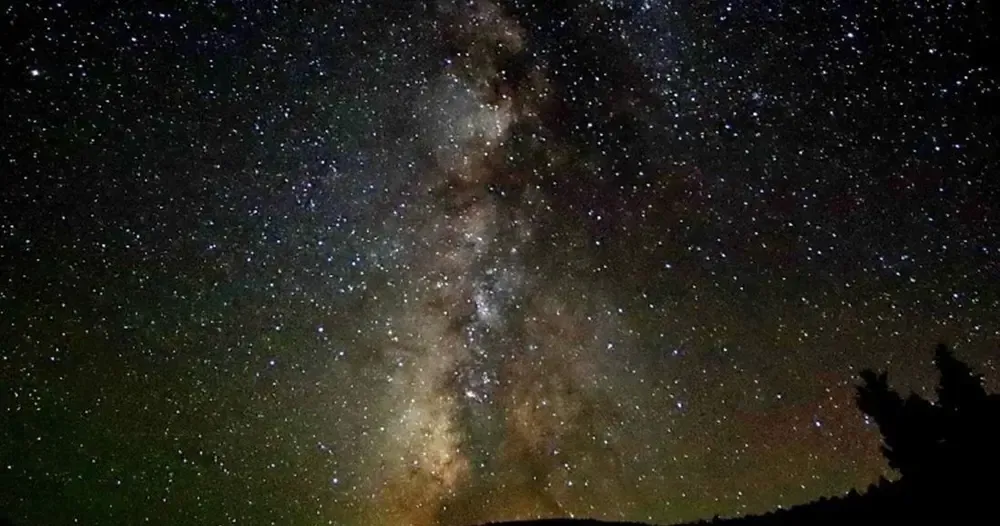 Starry night sky with the Milky Way glowing above a dark horizon and silhouetted trees
