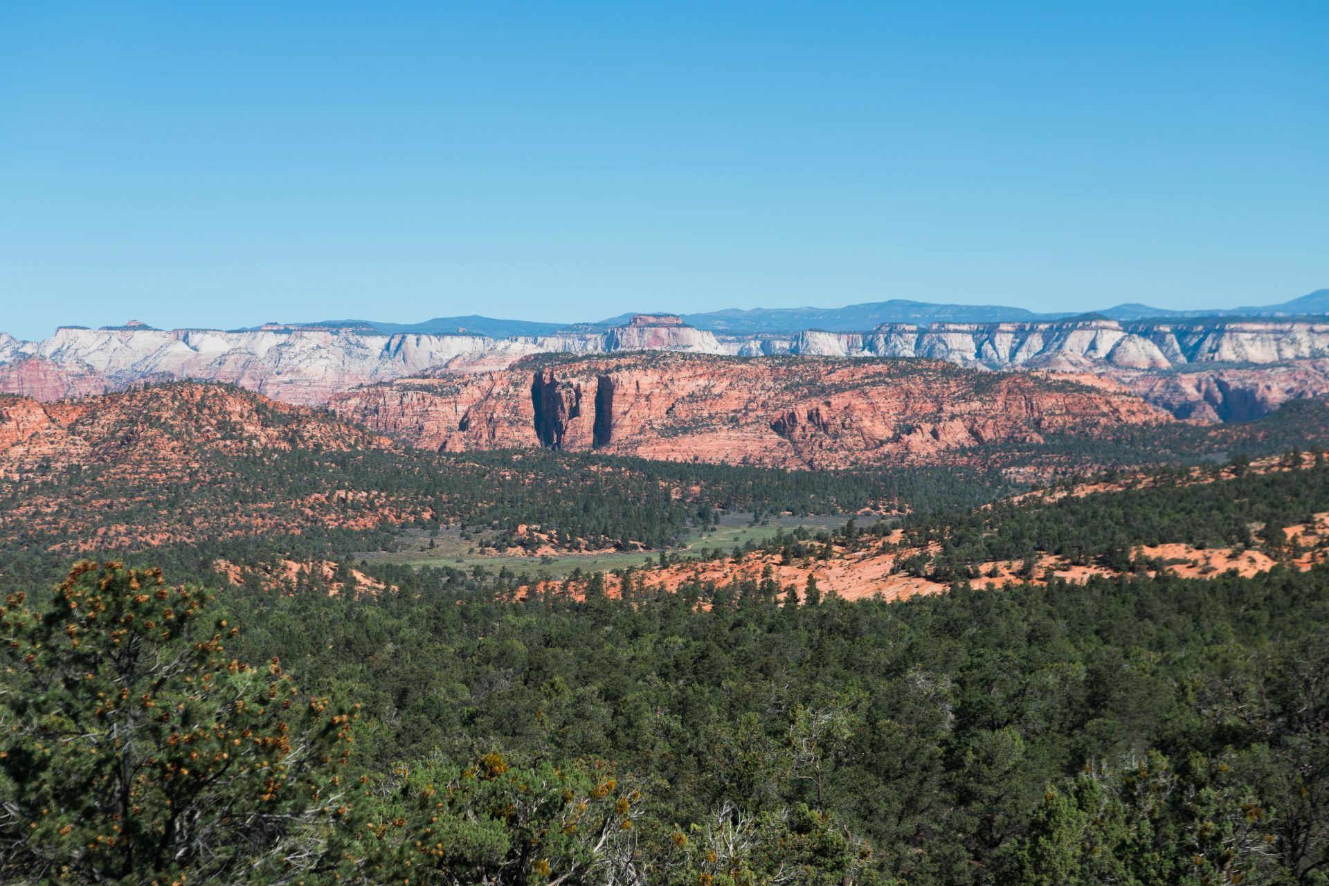 A view of a canyon with mountains in the background and trees in the foreground.