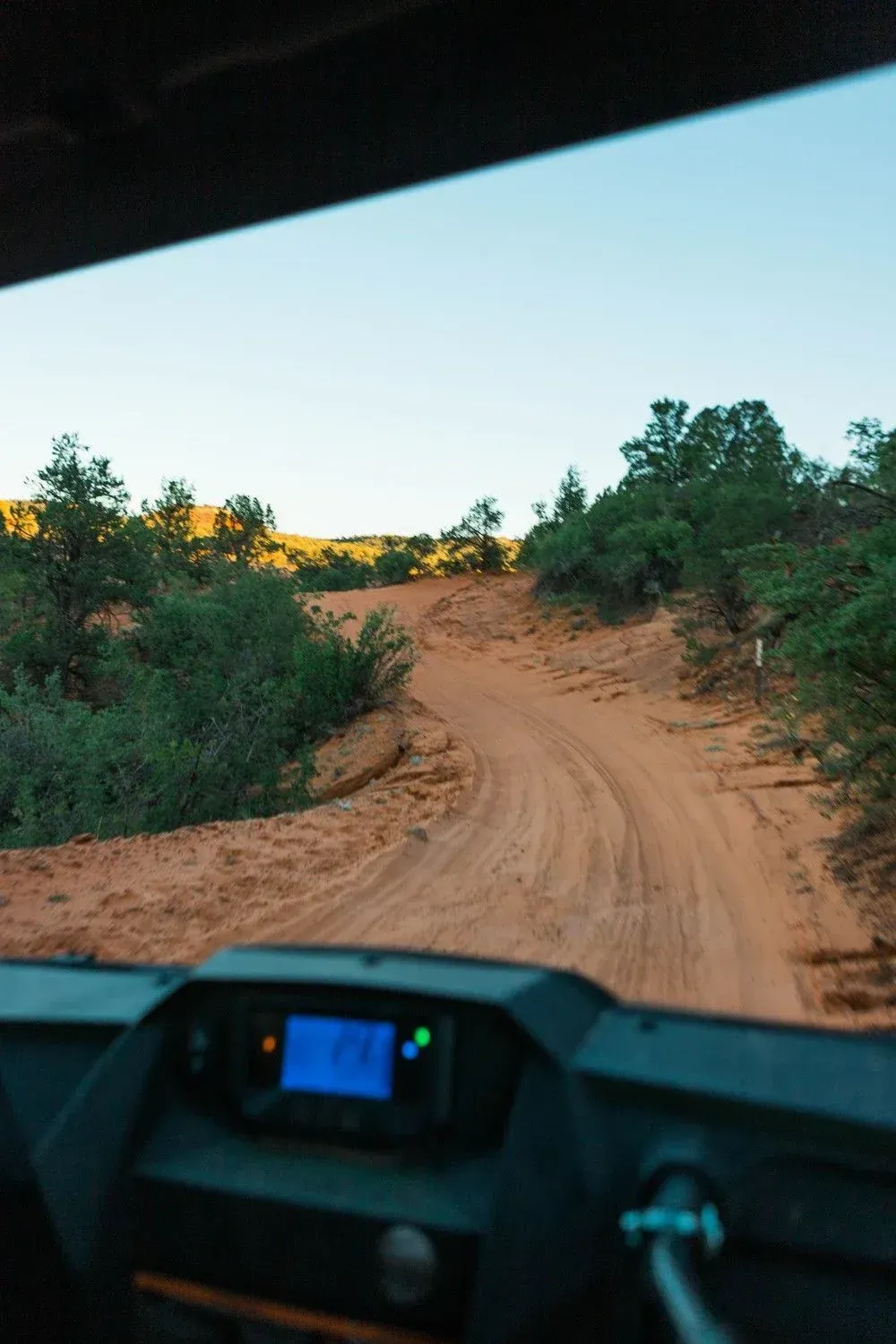 View from a vehicle driving on a sandy dirt road at dusk, with bushes and trees along the sides.