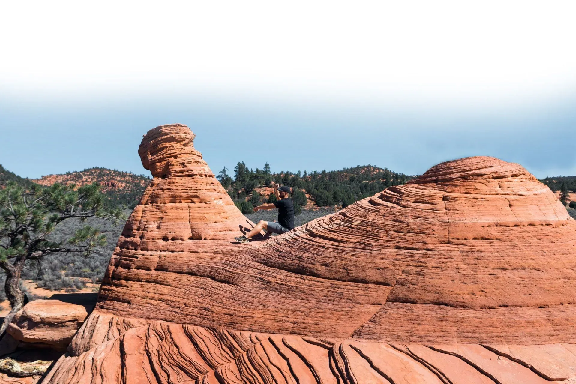 A view of a canyon with mountains in the background and trees in the foreground.