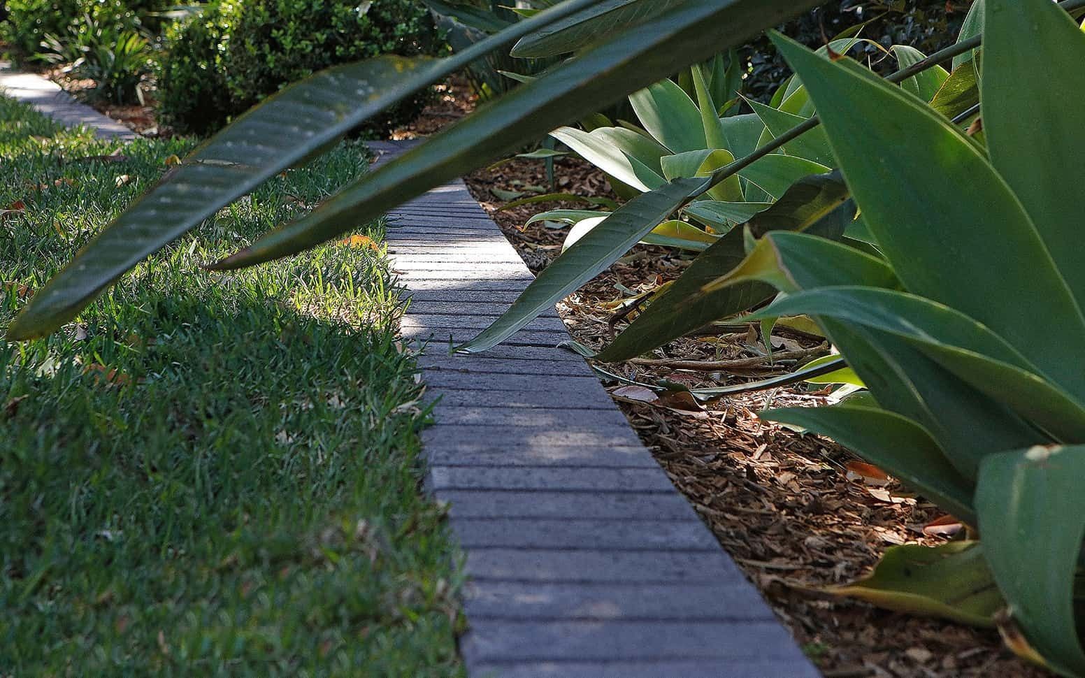 Brick Pathway Bordered by Grass and Plants With Large Green Leaves — Hunter Valley Bricks & Pavers in Scone, NSW