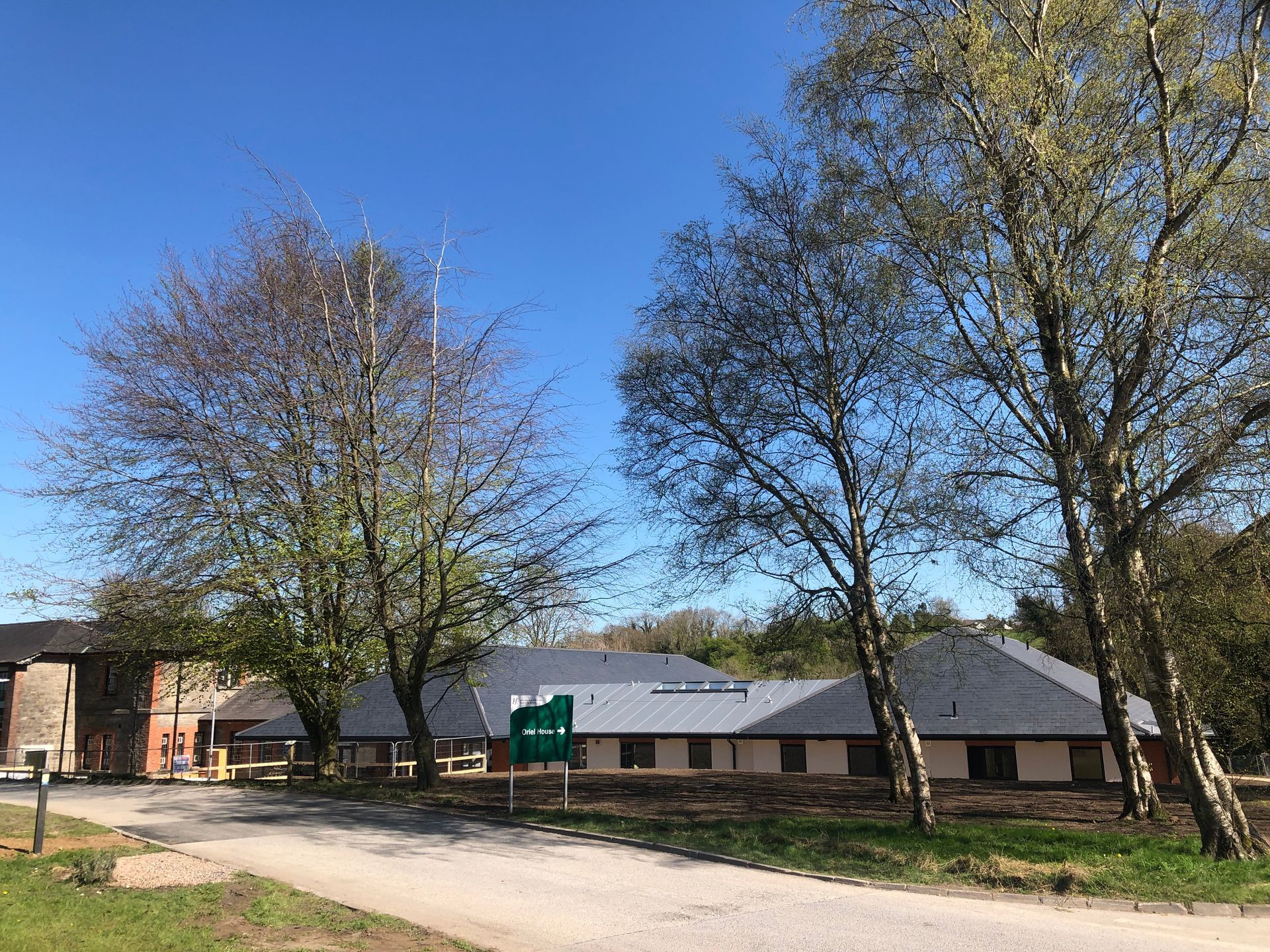 A row of trees are lined up in front of a building.