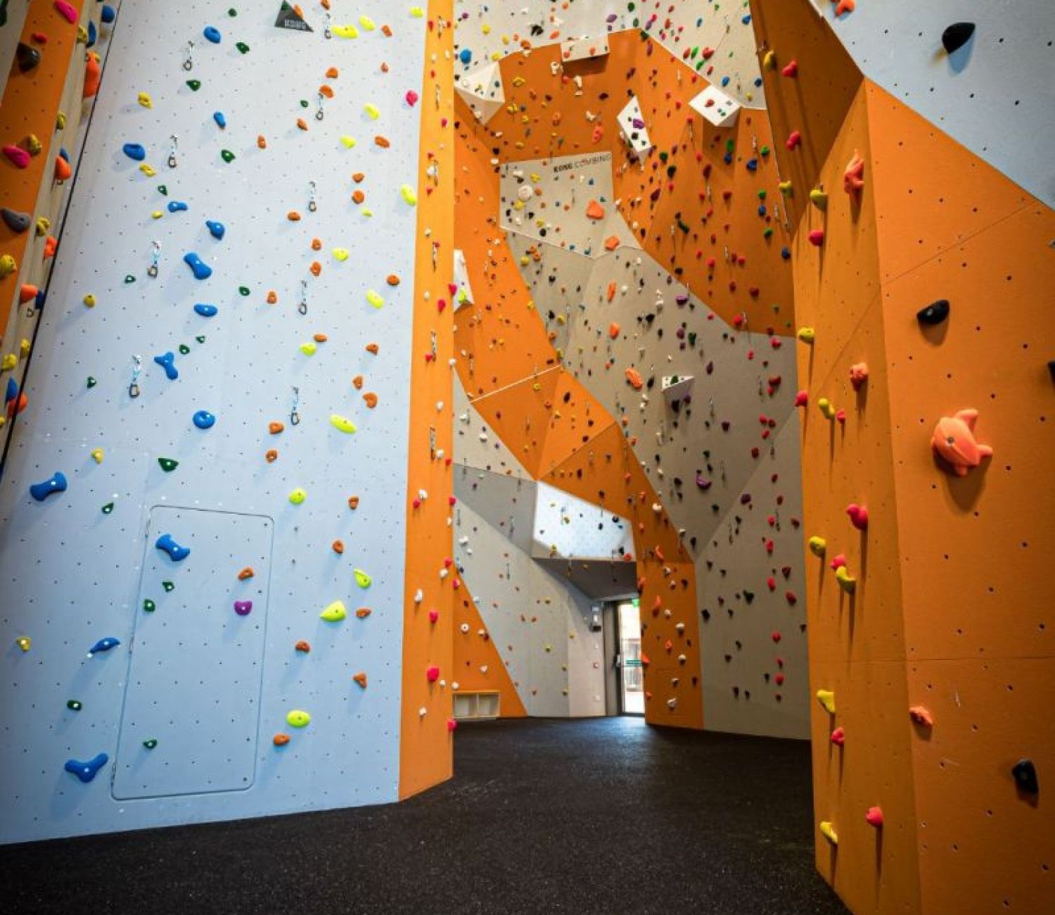A climbing wall with lots of climbing holds on it