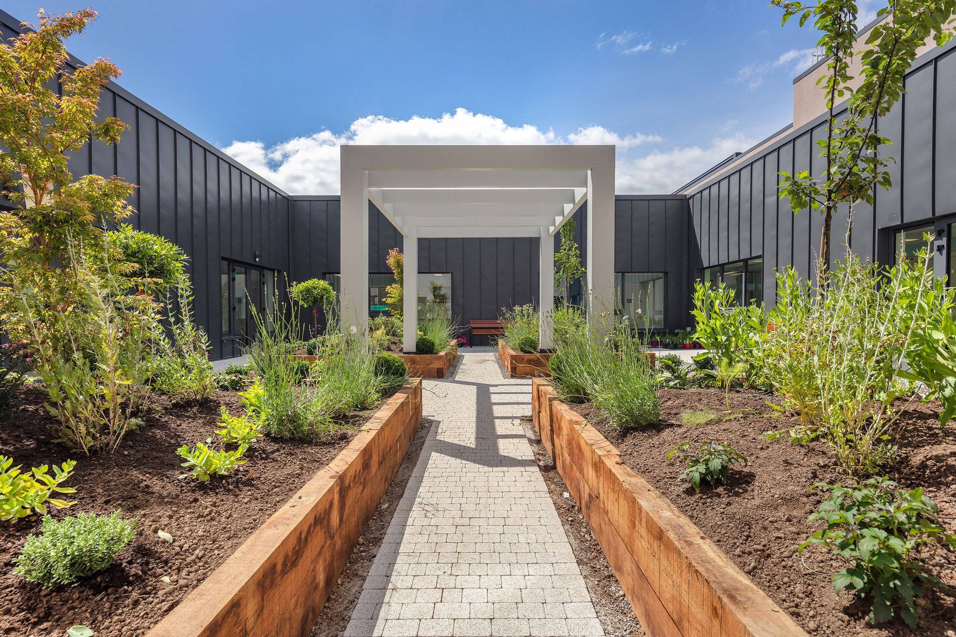 A walkway leading to a building with a pergola and a garden.