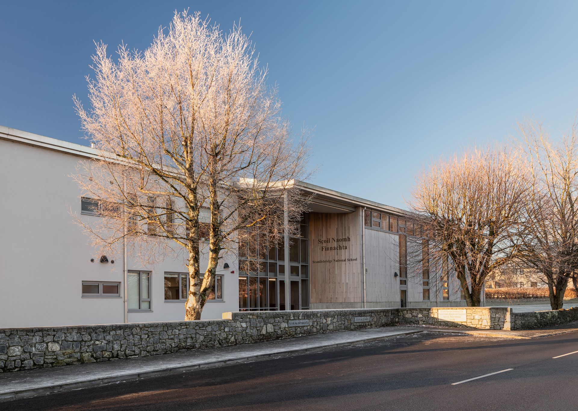 A large white building with trees in front of it