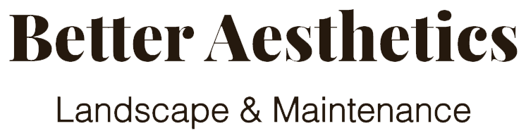 Better Aesthetics Logo