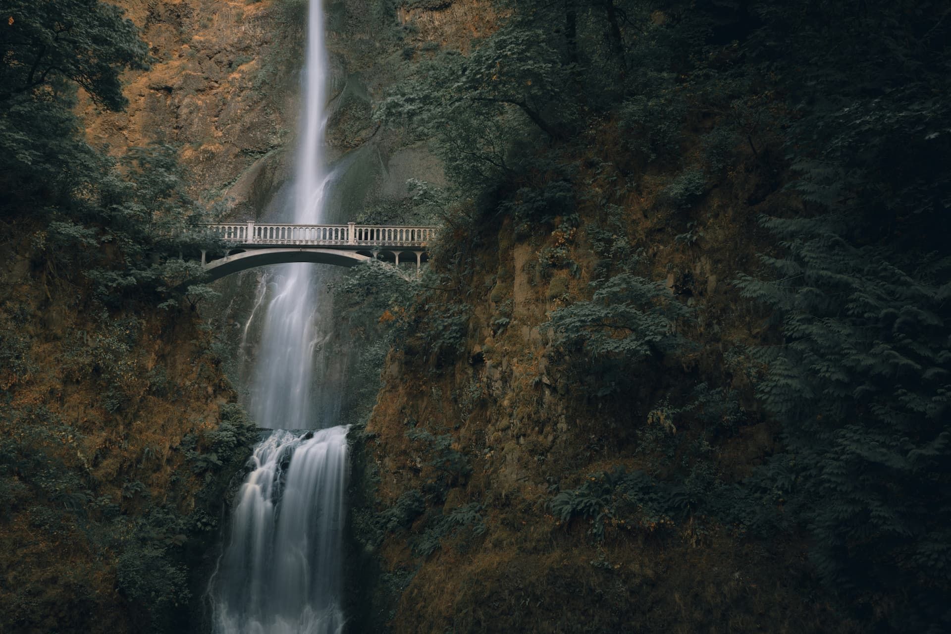 A waterfall with a bridge over it in the middle of a forest.